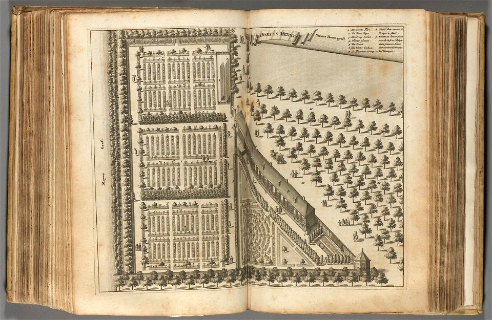 Houghton Neth 3250.3 - Hortus Medicus, Beschryvinge van Amsterdam