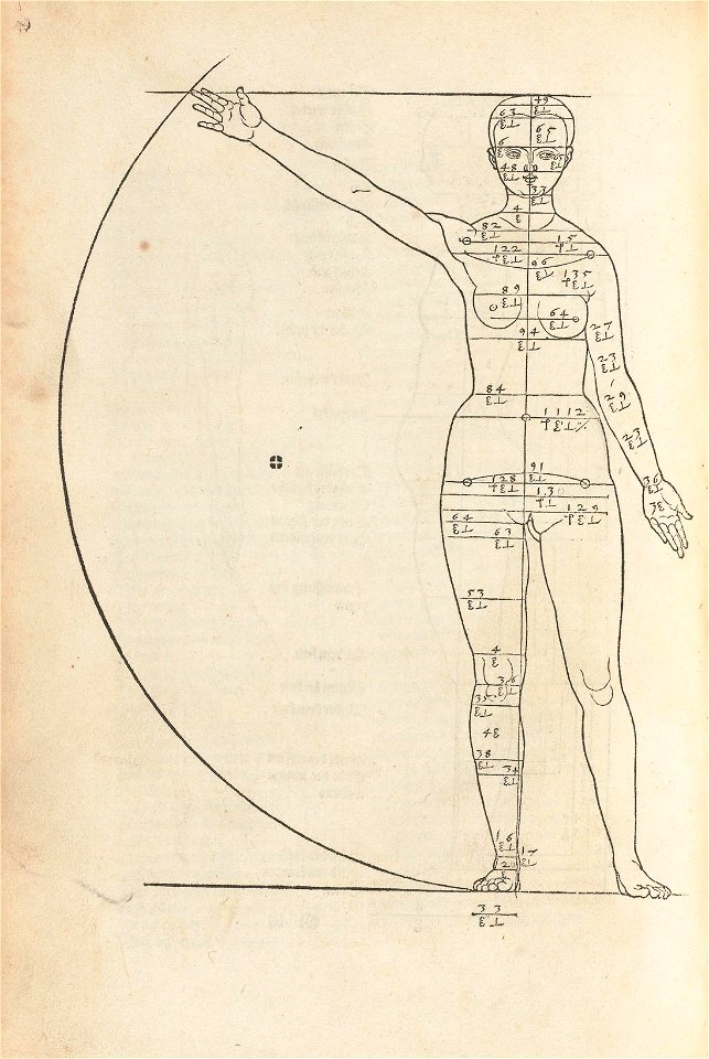 Houghton FA 6470.202 Albrecht Dürer - woman, front