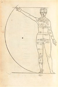 Houghton FA 6470.202 Albrecht Dürer - woman, front