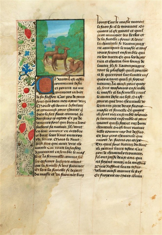 Houghton MS Typ 130 - Livre de la chass