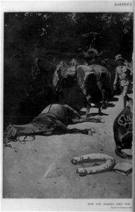 How the horses died for their country at Santiago - Frederic Remington. LCCN89716301