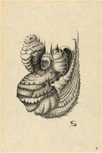 Houghton Typ 920.07.7733 - Jenseits-Galeri, plate 5