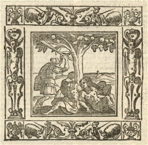 Houghton Typ 625.21.132 - Alciati Emblemata, 1621 - Consiliarij principum