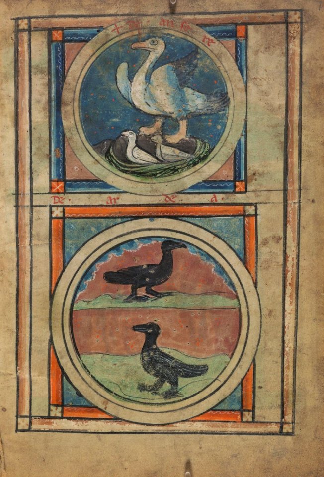 Houghton MS Typ 101 - De bestiis et aliis rebus 7
