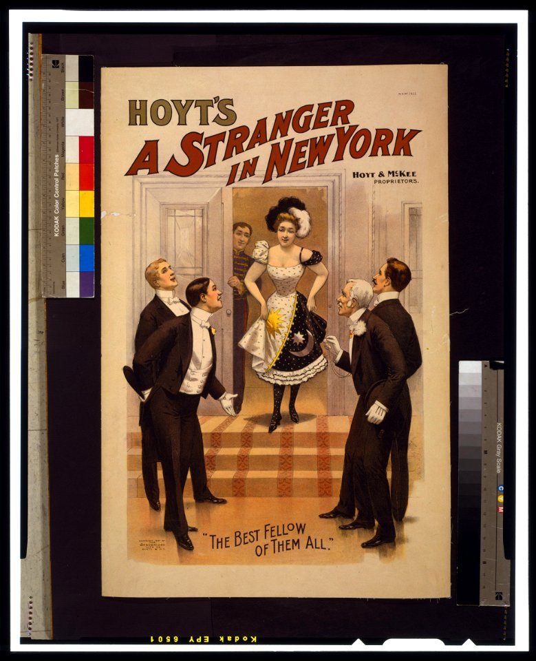 Hoyt's A stranger in New York LCCN2014636254