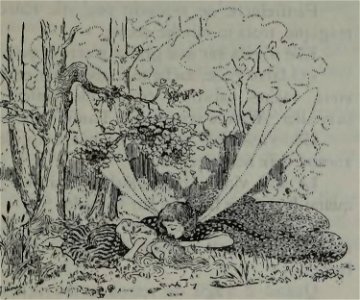 Hovine - Conte sous-marin, Annette et Doric, Fanfreluche, Papillon, 1918 (page 47 crop)
