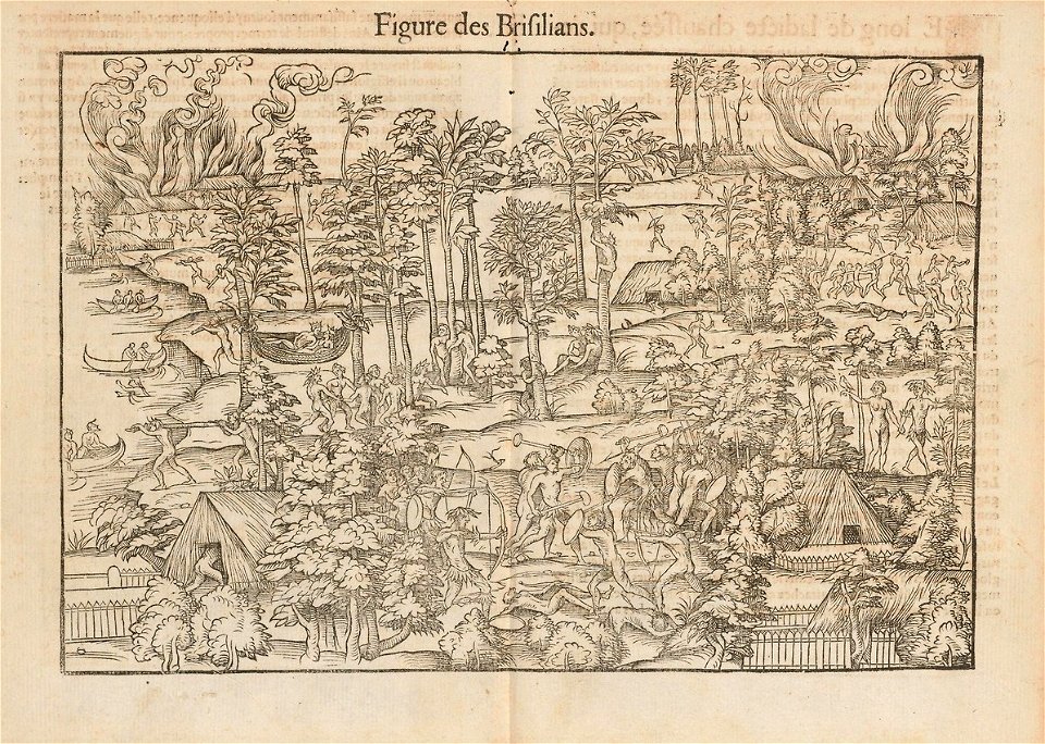 Houghton Typ 515.51.272 - Cest la deduction du sumptueux ordre, 1551