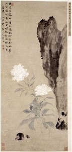 Hua Yan - White Peony and Rocks - 13.220.119 - Metropolitan Museum of Art