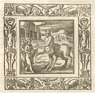 Houghton Typ 625.21.132 - Alciati Emblemata, 1621 - In obliuionem patriæ