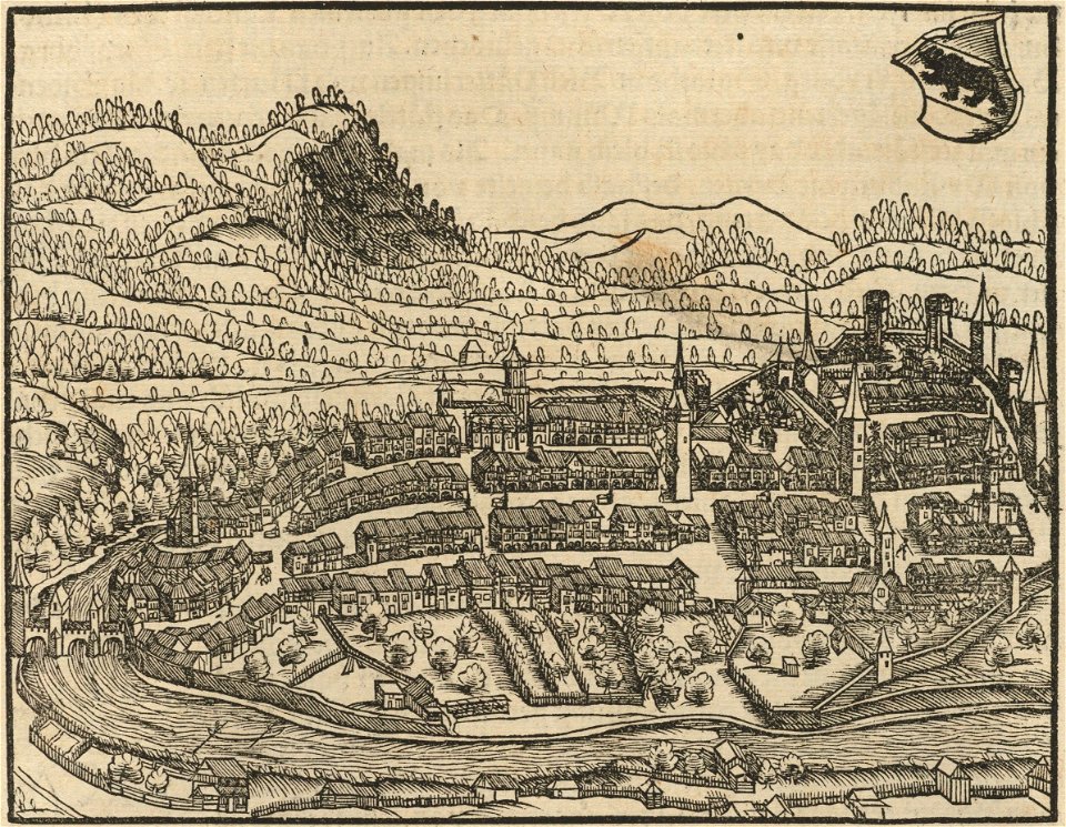 Houghton Typ 565.48.811 - Stumpf, woodcut, f 248 v