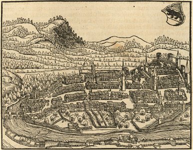 Houghton Typ 565.48.811 - Stumpf, woodcut, f 248 v