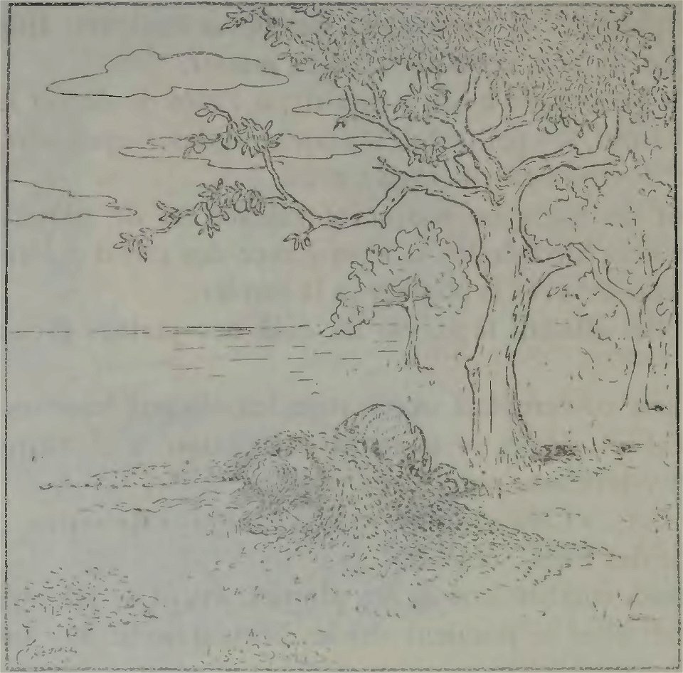 Hovine - Conte sous-marin, Annette et Doric, Fanfreluche, Papillon, 1918 (page 52 crop)