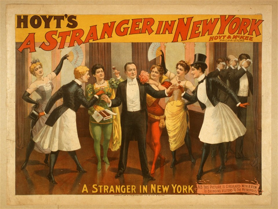 Hoyt's A stranger in New York LCCN2014636253