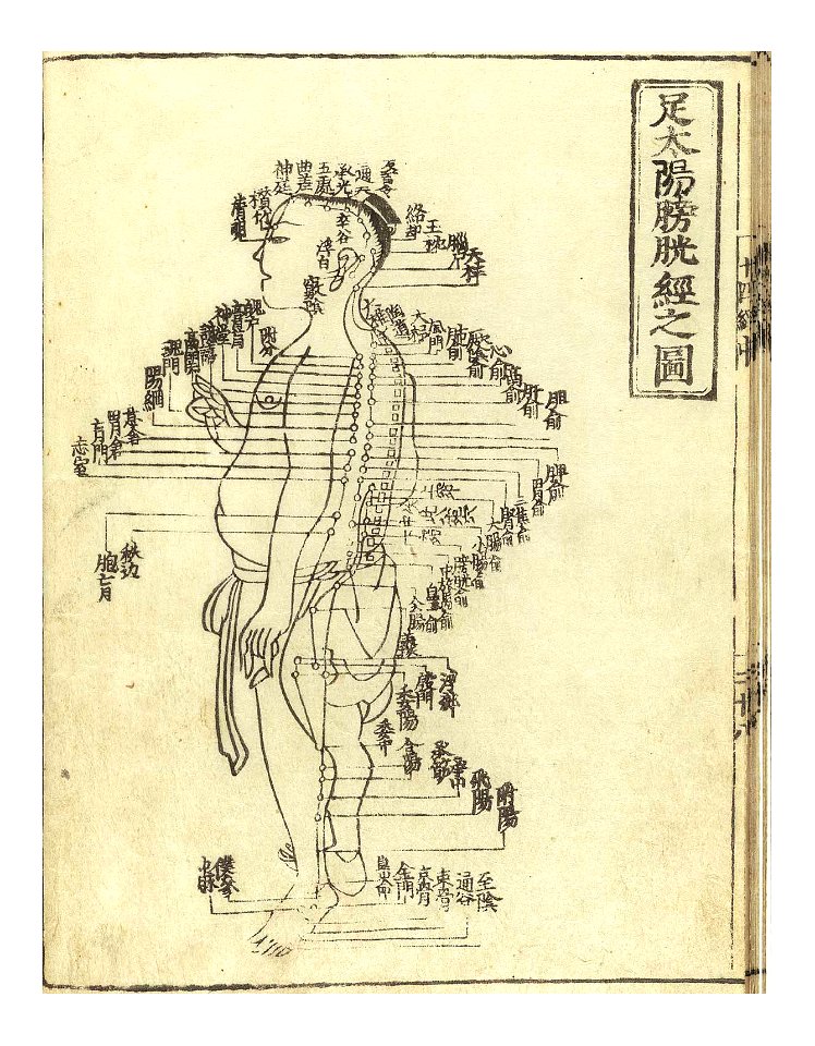 Hua t08 a