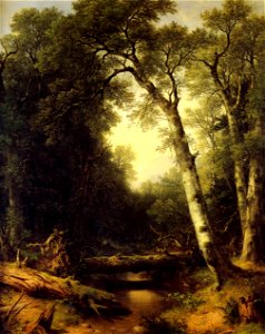 HRSOA AsherDurand-Creek in the Woods 1865