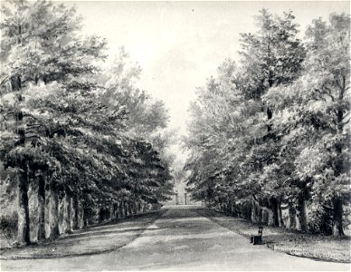 HUA-107346-Gezicht in het park bij het huis Gunterstein te Breukelen de oprijlaan gezien naar de Vecht