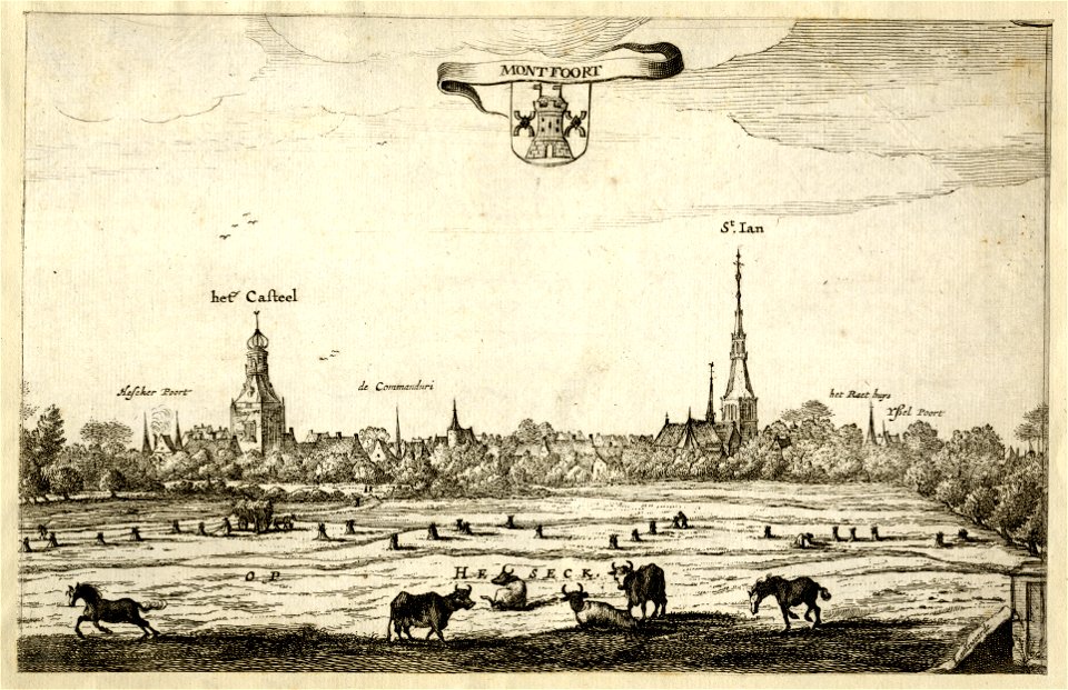 HUA-135357-Profiel van Montfoort vanuit de Heeswijkse polder aangeduid als Het Seck uit het noordoosten met links het kasteel en rechts de Janskerk Middenboven h