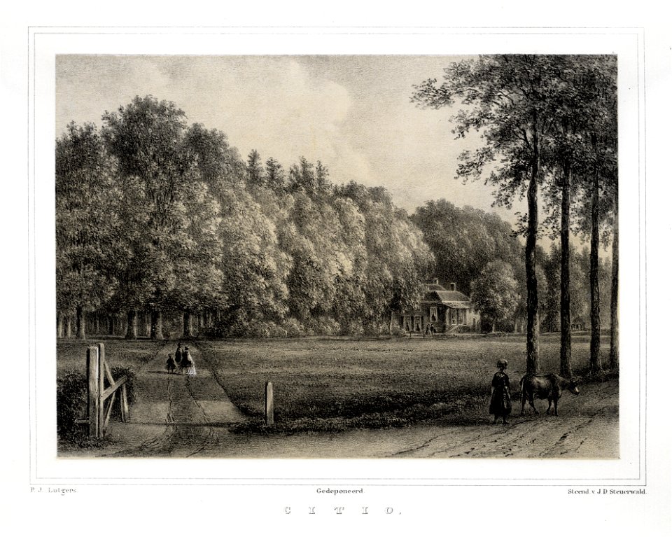 HUA-135904-Gezicht op de zij en de voorgevel van het huis Sitio te Doorn deels verscholen tussen de bomen van het omringende landschapsparkNB Het huis heeft tege