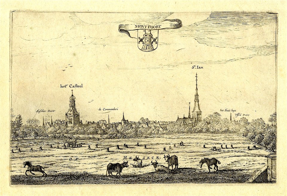 HUA-200238-Profiel van Montfoort vanuit de Heeswijkse polder aangeduid als Het Seck uit het noordoosten met links het kasteel en rechts de Janskerk Middenboven h