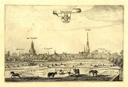HUA-200238-Profiel van Montfoort vanuit de Heeswijkse polder aangeduid als Het Seck uit het noordoosten met links het kasteel en rechts de Janskerk Middenboven h