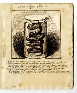 HUA-135561-Afbeelding van een pagina met een tekening van een slang in een glazen pot die een rol speelde in de opera Euryanthe van Carl Maria von Weber op 25 ma