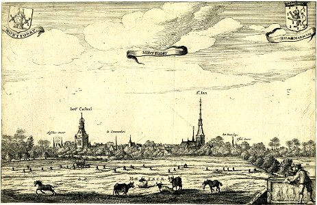 HUA-200239-Profiel van Montfoort vanuit de Heeswijkse polder aangeduid als Heseck uit het noordoosten met links het kasteel en rechts de Janskerk Linksboven het 