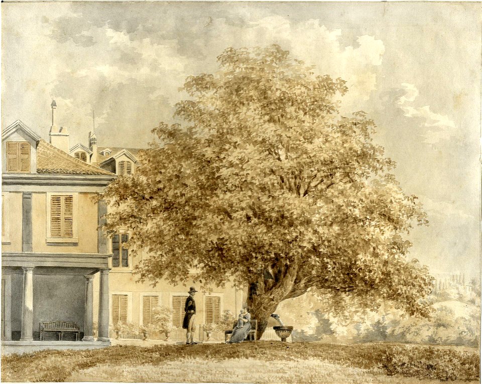 HUA-201438-Gezicht op de achtergevel van een landhuis met een grote boom op de voorgrond en rechts op de achtergrond een begroeide heuvel waarop een gebouw staat