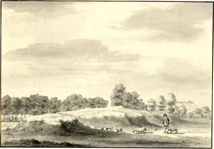 HUA-201433-Gezicht op de heuvel boven de ruïne van het kasteel Ter Horst bij Rhenen