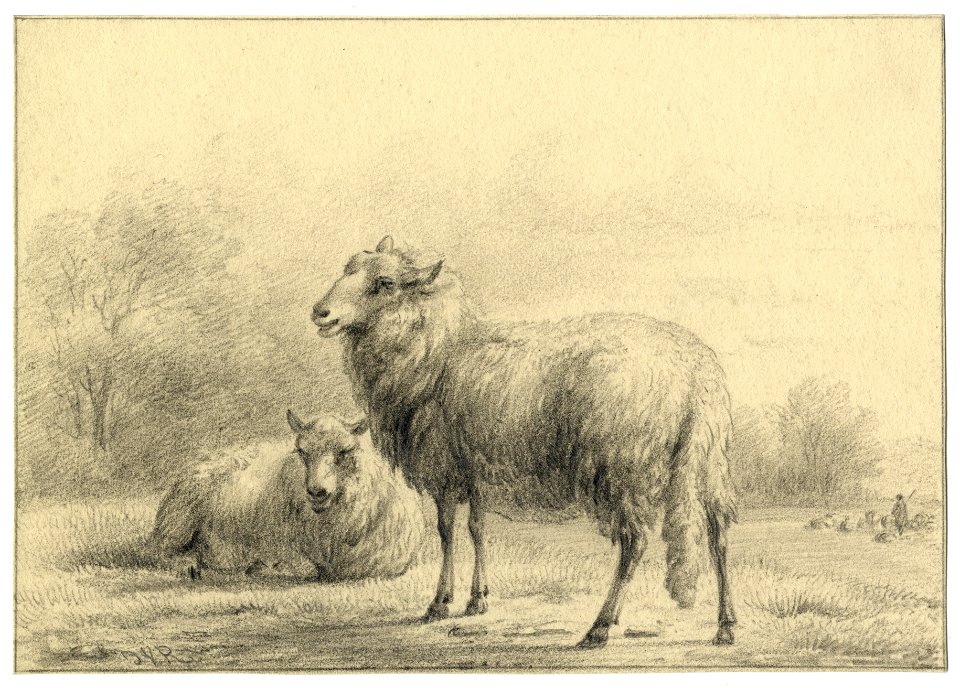 HUA-202556-Afbeelding van twee schapen in het park van de buitenplaats Beukenburg aan de Beukenburgerlaan bij Groenekan gemeente Maartensdijk NB De gemeente Maar