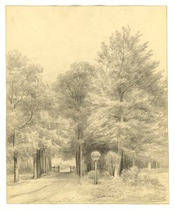 HUA-202545-Gezicht op de oprijlaan met het toegangshek van het huis Beukenburg aan de Beukenburgerlaan bij Groenekan gemeente Maartensdijk NB De gemeente Maarten