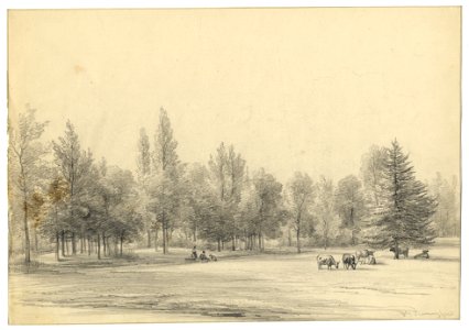 HUA-202548-Gezicht in het landschapspark van de buitenplaats Beukenburg aan de Beukenburgerlaan bij Groenekan gemeente Maartensdijk met enkele koeien bij een sol
