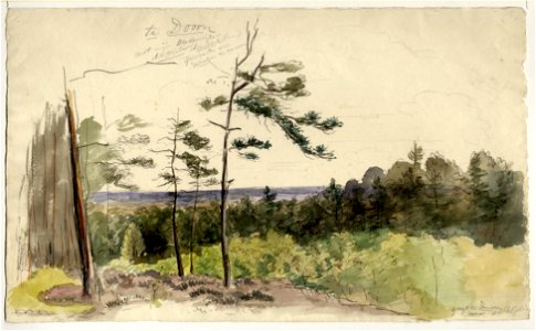 HUA-206397-Gezicht op een bosrijk landschap on de omgeving van Doorn