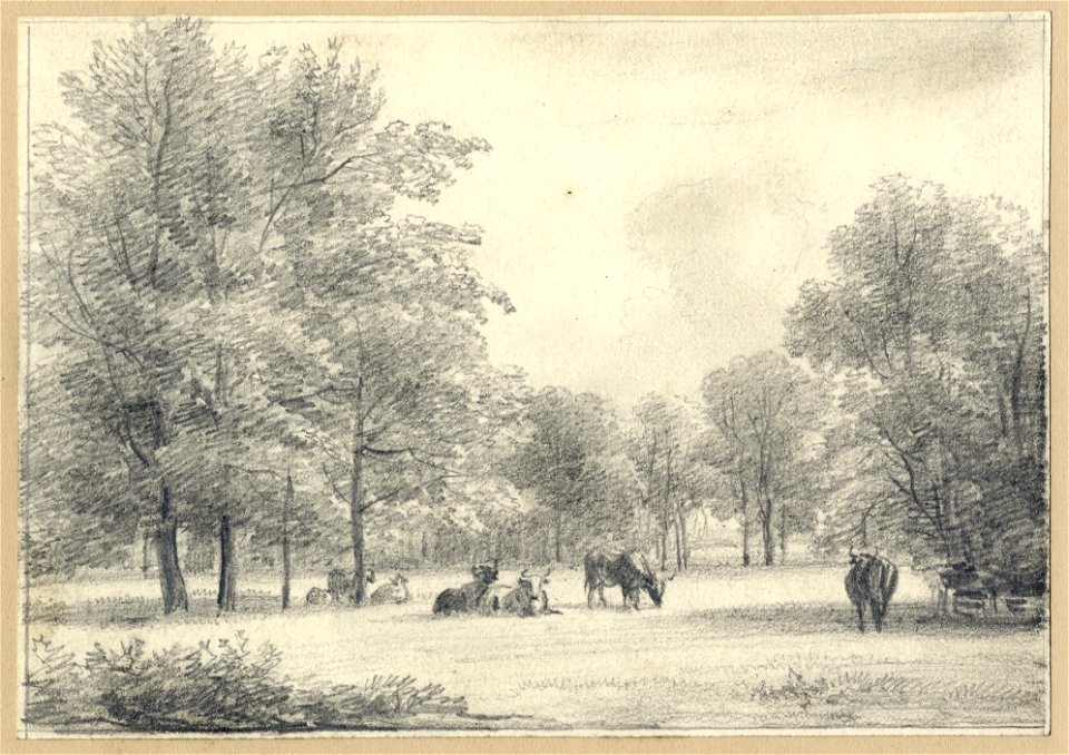 HUA-202550-Gezicht in het landschapspark van de buitenplaats Beukenburg aan de Beukenburgerlaan bij Groenekan gemeente Maartensdijk met enkele koeienNB De gemeen