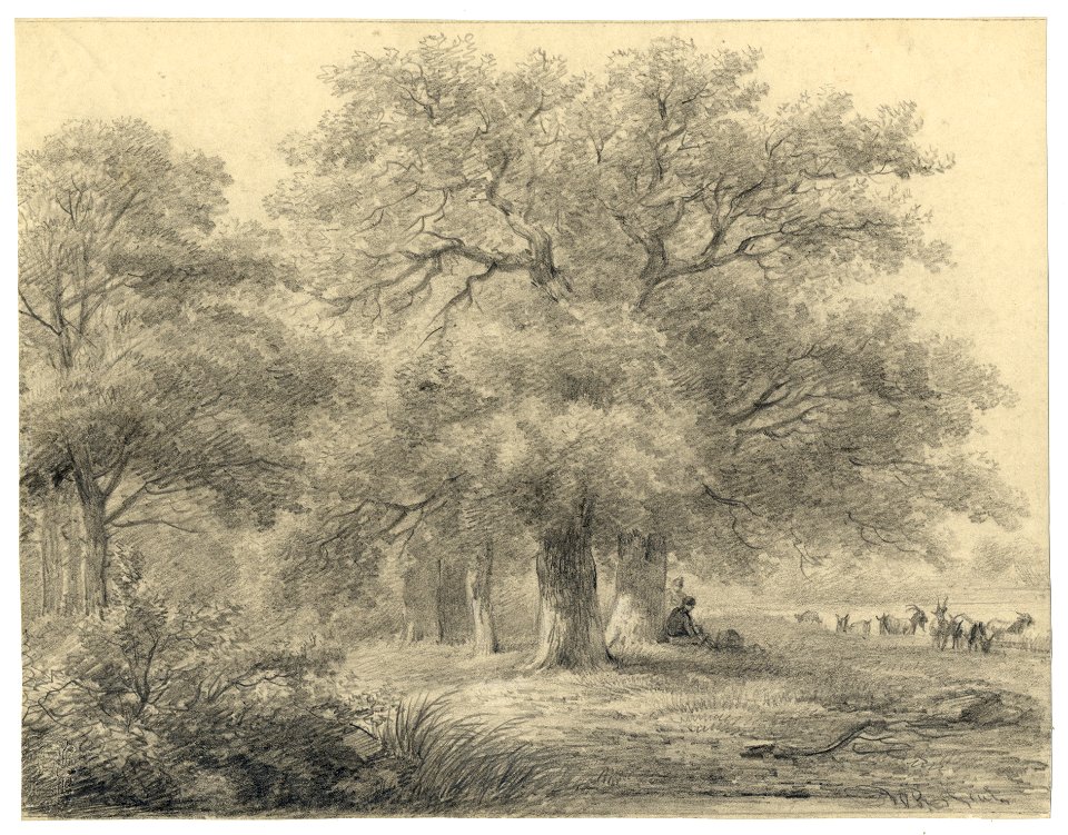 HUA-202554-Gezicht op een aantal grote bomen in het park van de buitenplaats Beukenburg aan de Beukenburgerlaan bij Groenekan gemeente Maartensdijk met rechts en