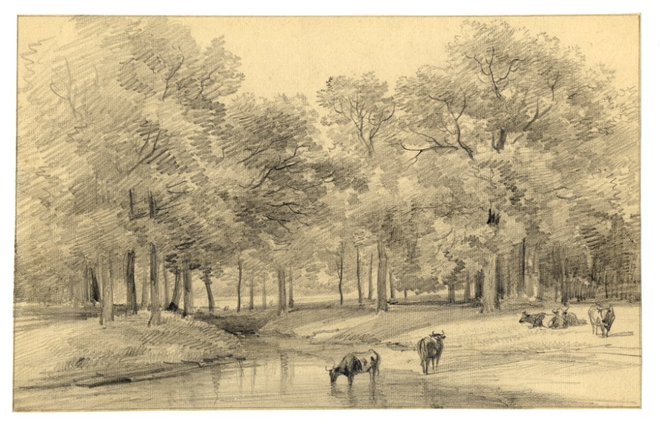 HUA-202558-Gezicht in het landschapspark van de buitenplaats Beukenburg aan de Beukenburgerlaan bij Groenekan gemeente Maartensdijk met de slingervijver gezien v