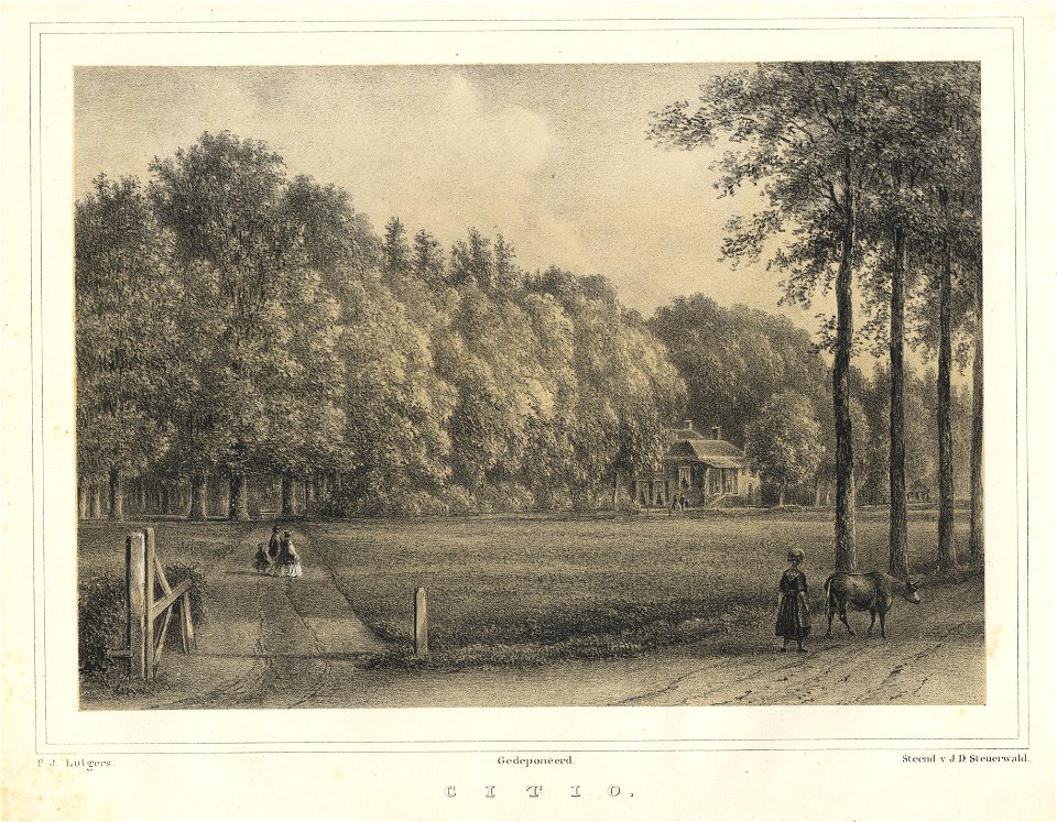 HUA-201937-Gezicht op de zij en de voorgevel van het huis Sitio te Doorn deels verscholen tussen de bomen van het omringende landschapsparkNB Het huis heeft tege