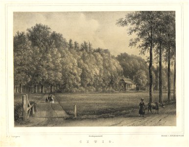 HUA-201937-Gezicht op de zij en de voorgevel van het huis Sitio te Doorn deels verscholen tussen de bomen van het omringende landschapsparkNB Het huis heeft tege