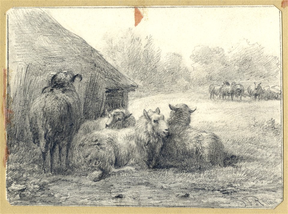 HUA-202555-Afbeelding van enkele schapen bij een schaapskooi in het park van de buitenplaats Beukenburg aan de Beukenburgerlaan bij Groenekan gemeente Maartensdi