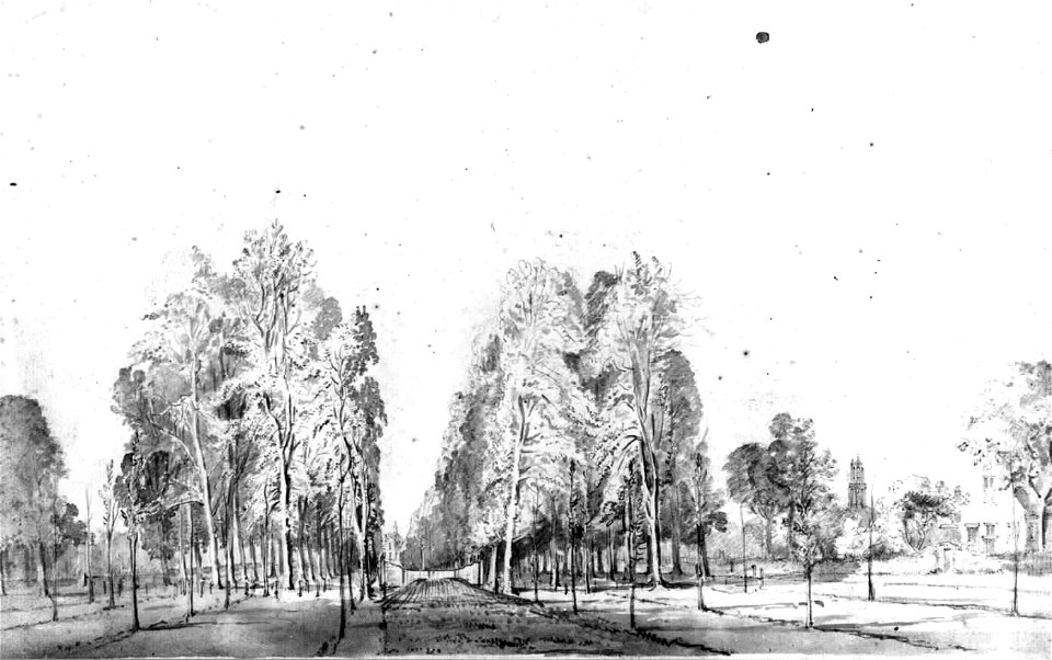 HUA-30281-Gezicht in de Maliebaan te Utrecht uit het noordoosten vanuit de in 1768 aangeplante bomen van de Nieuwe Baan met rechts een gedeelte van de herberg H