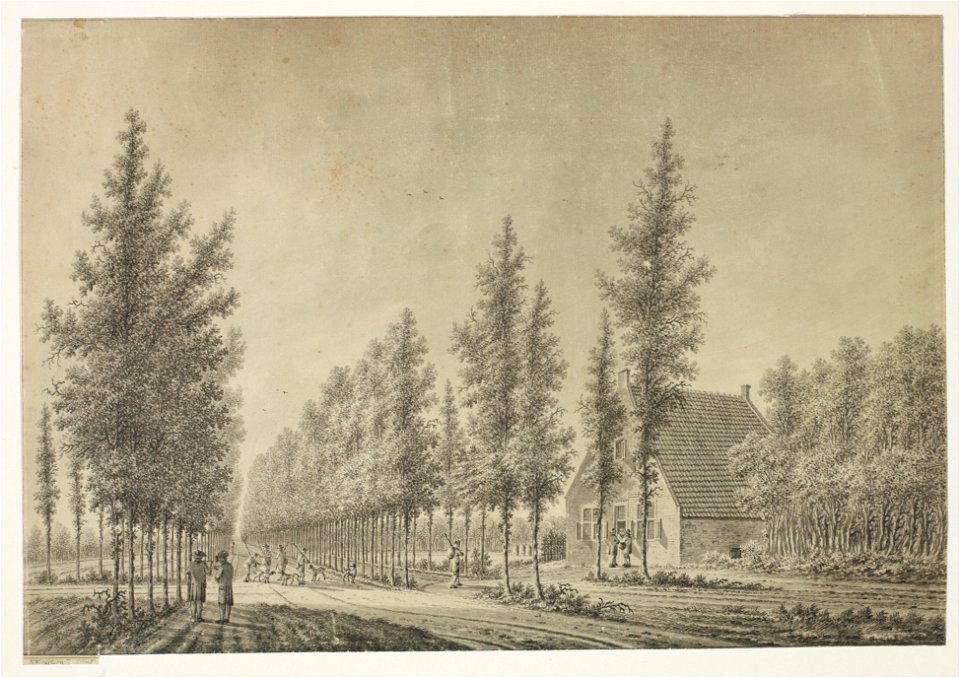 HUA-206284-Gezicht in de Beukenburgerlaan van het landgoed Beukenburg bij Groenekan met rechts een woning uit het noorden