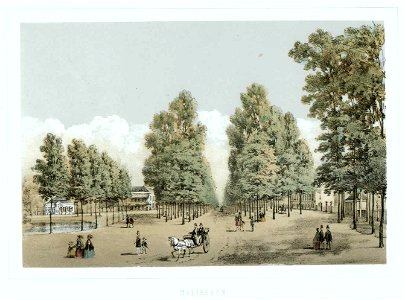 HUA-35553-Gezicht in de Maliebaan te Utrecht uit het zuidwesten met links de stadsbuitengracht en het Maliehuis met luifels 