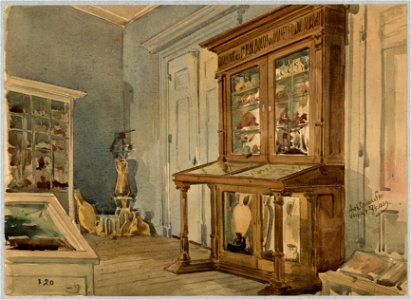 HUA-31725-Interieur van het stadhuis Stadhuisbrug te Utrecht het Stedelijk Museum van Oudheden op de tweede verdieping zaal F met de archeologische collectie va