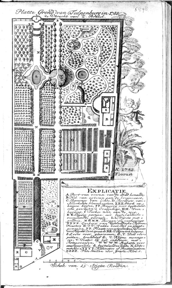 HUA-37946-Plattegrond van de kwekerij Tulpenburg aan de Catharijnesingel te Utrecht gelegen tussen de buitenplaatsen Nieuweroord links en Puntenburg rechts Het 