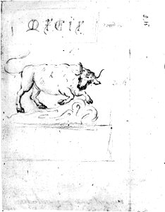 HUA-37355-Afbeelding van het reliëf van de stier op een zuil in de Mariakerk te Utrecht