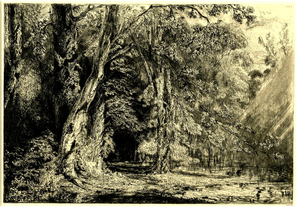 Huet - L'Inondation dans l'Île Séguin, 1893,0718.2