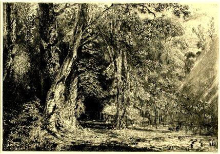 Huet - L'Inondation dans l'Île Séguin, 1893,0718.2