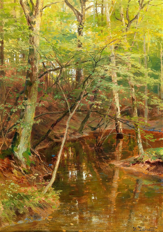 Hugo Darnaut - Woodland Stream