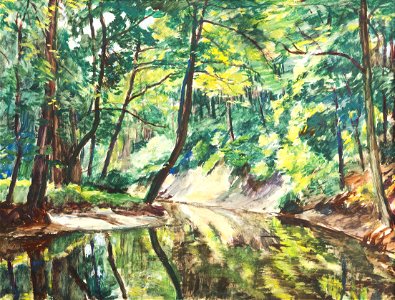 Hudeček-Antonín-Brook in the Forest