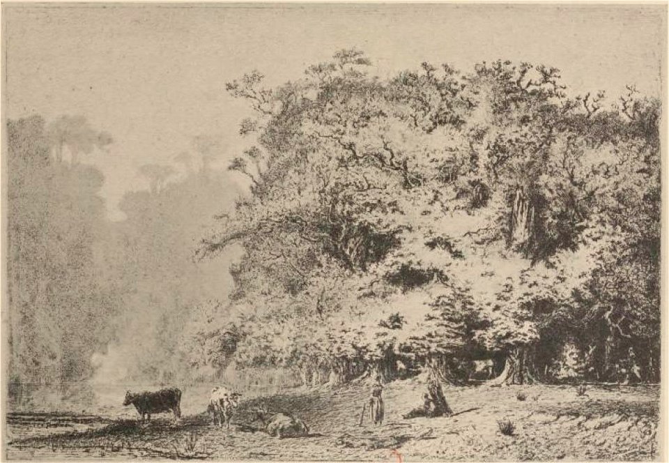 Huet - Delteil, 16