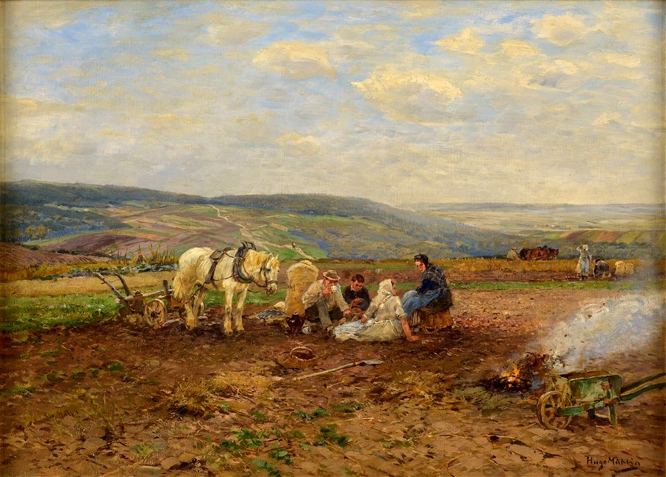 Hugo Mühlig Kartoffelfeuer